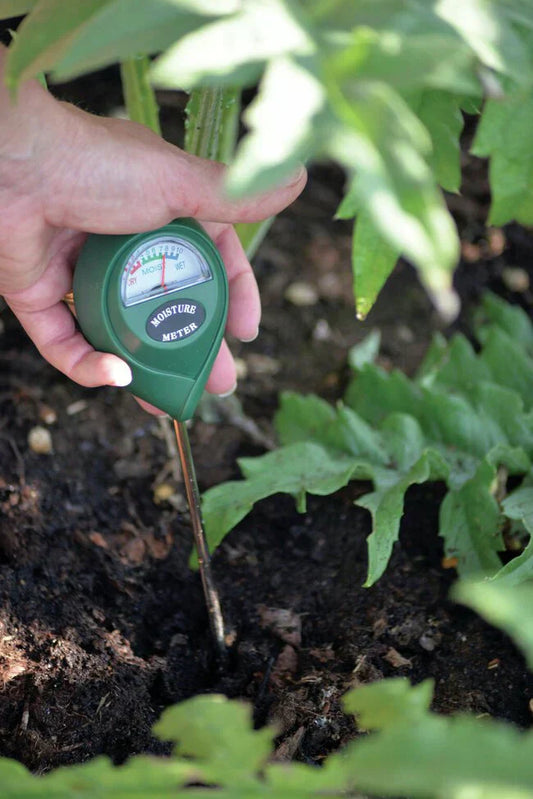 3-i-1 jord pH-fuktighetsmätare växtvatten ljustestare