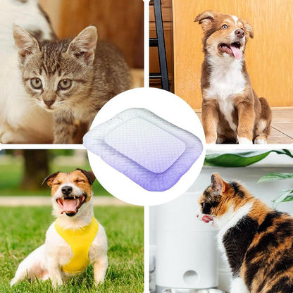 ❄️Kølemåtte til hunde og katte 🐾 Naturligt kølig is-silkemåtte • Åndbar, vaskbar og blød 🌿 Til gulve, sofaer og bilrejser • Flere størrelser • Gradientfarver ☀️🐶