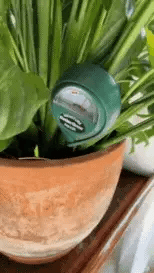 3-i-1 jord pH-fuktighetsmätare växtvatten ljustestare