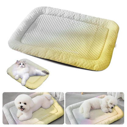 ❄️Kølemåtte til hunde og katte 🐾 Naturligt kølig is-silkemåtte • Åndbar, vaskbar og blød 🌿 Til gulve, sofaer og bilrejser • Flere størrelser • Gradientfarver ☀️🐶