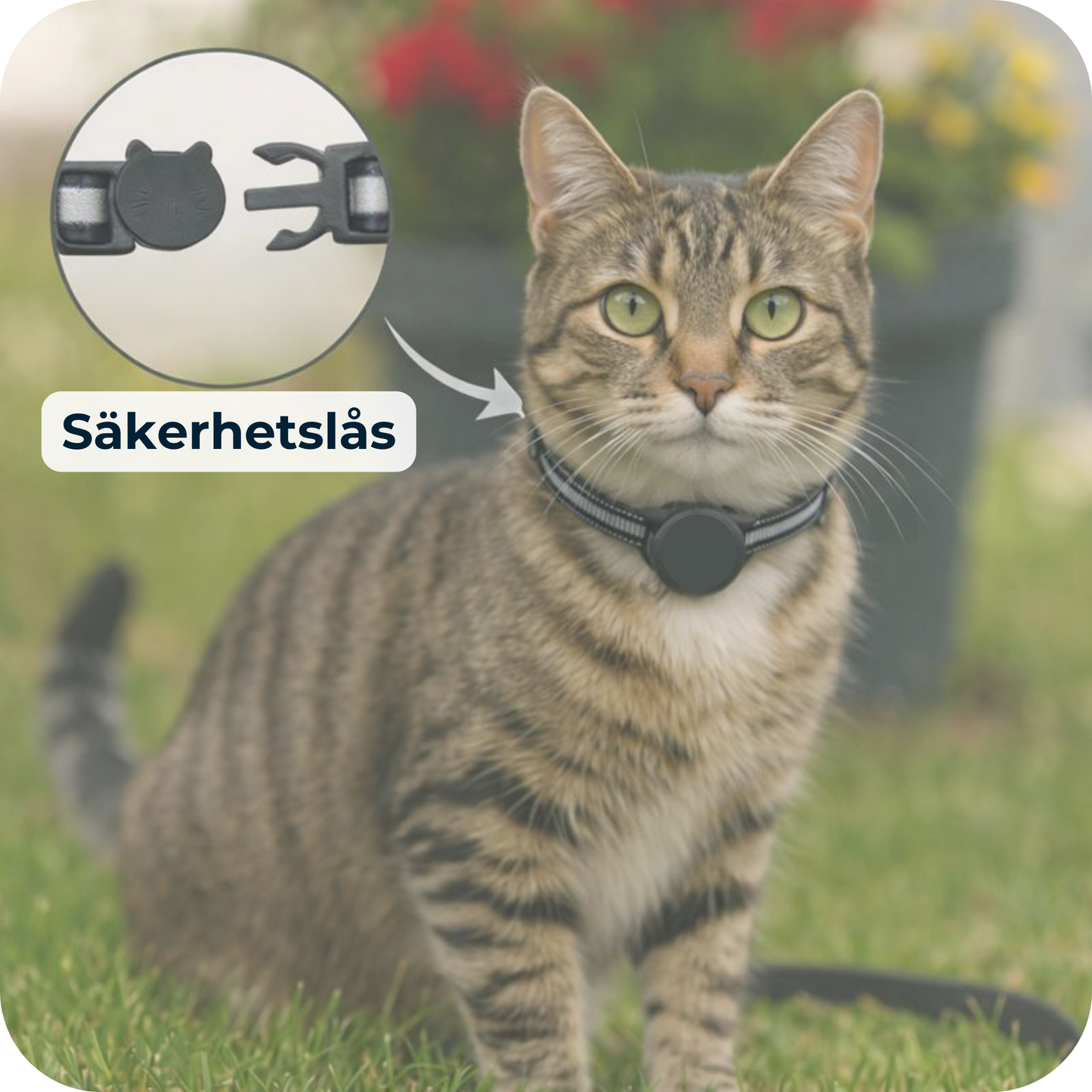 AirTrackTag Kattpaket