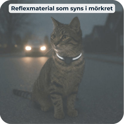 AirTrackTag Kattpaket