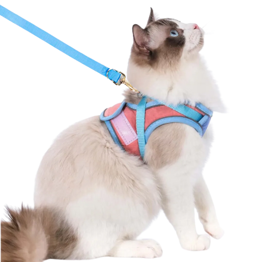 Kattesele & snor