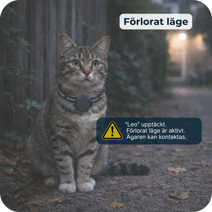 AirTrackTag Kattpaket