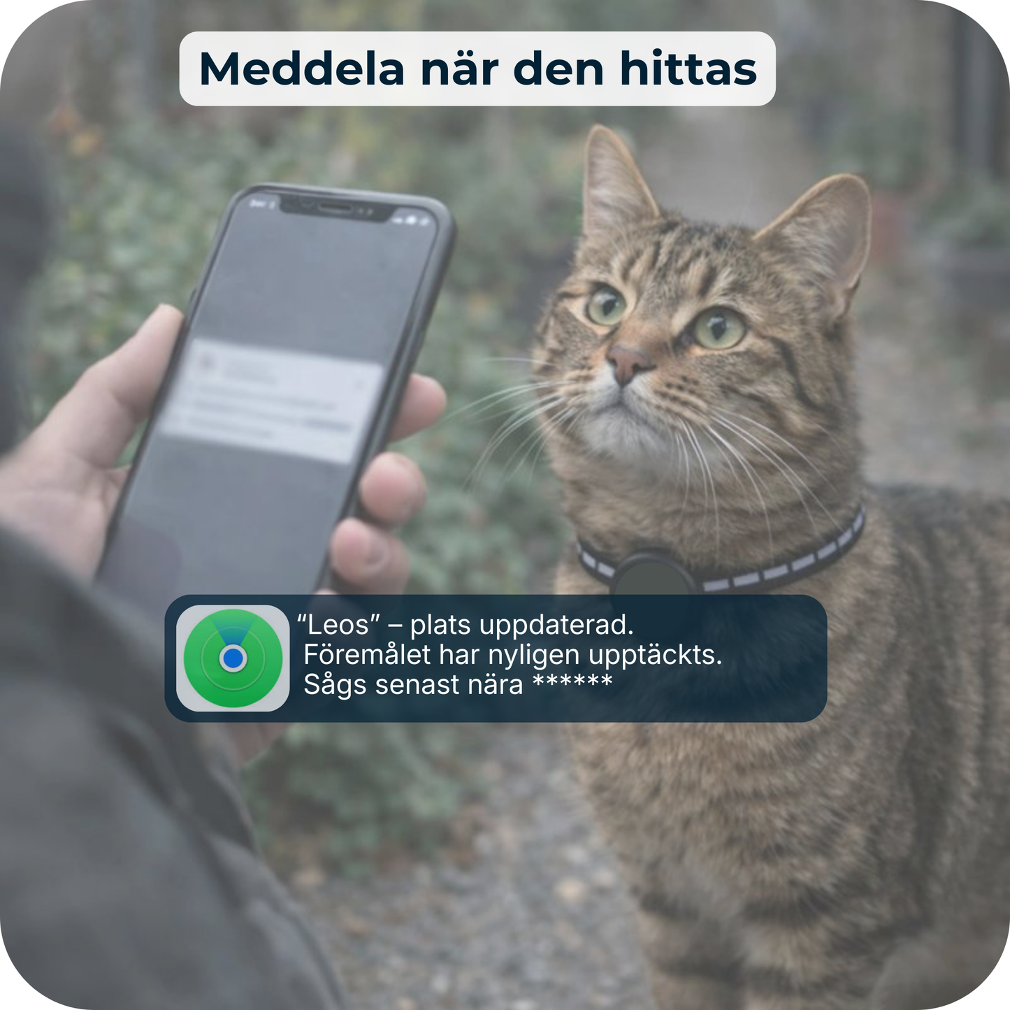 AirTrackTag Kattpaket