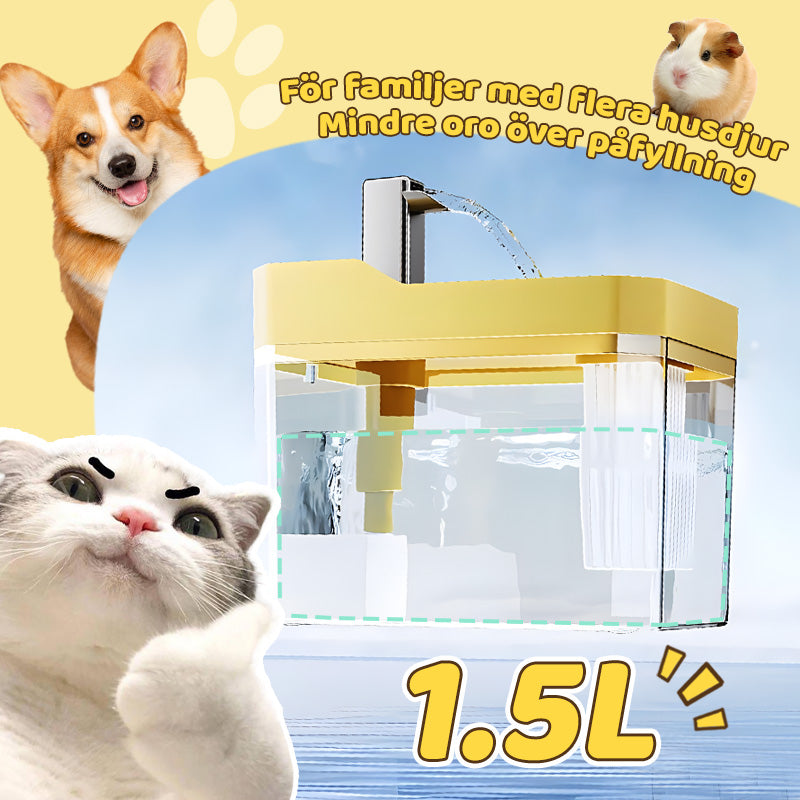 Automatisk dricksfontän för katt