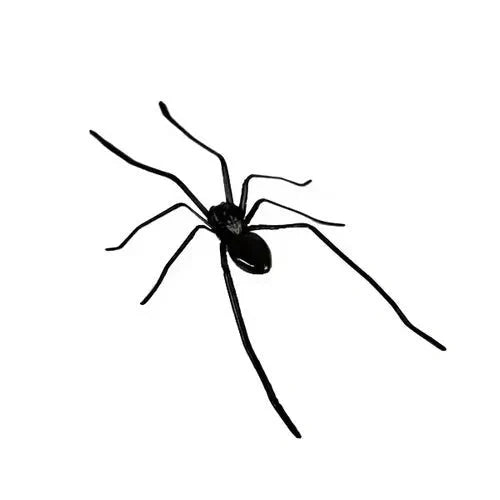 ✨Realistiske edderkoppemagneter til køleskabe, garagedøre og biler✨